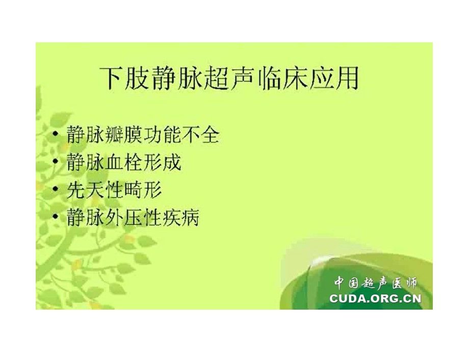 《下肢静脉检查》PPT课件.ppt_第2页