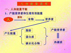 《人体能量需要》PPT课件.ppt