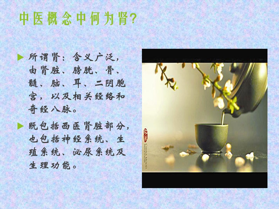 《中医体质肾虚》PPT课件.ppt_第2页