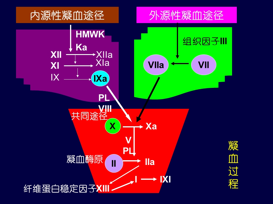 《作用于血液及》PPT课件.ppt_第3页