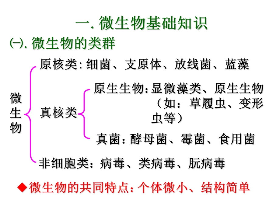 《微生物的培养》PPT课件.ppt_第3页