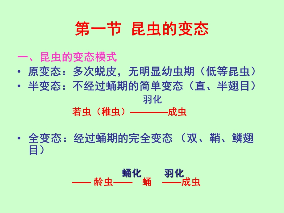 《变态发育》PPT课件.ppt_第3页