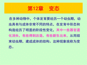 《变态发育》PPT课件.ppt