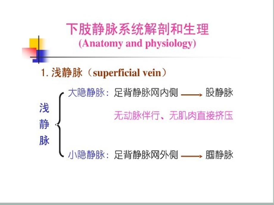 大隐静脉曲张病人护理 ppt课件.ppt_第2页