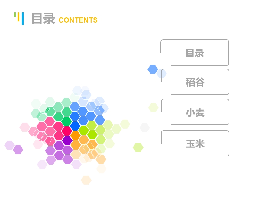 《商品学粮食》PPT课件.ppt_第2页