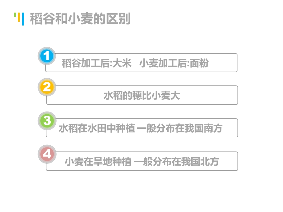 《商品学粮食》PPT课件.ppt_第3页