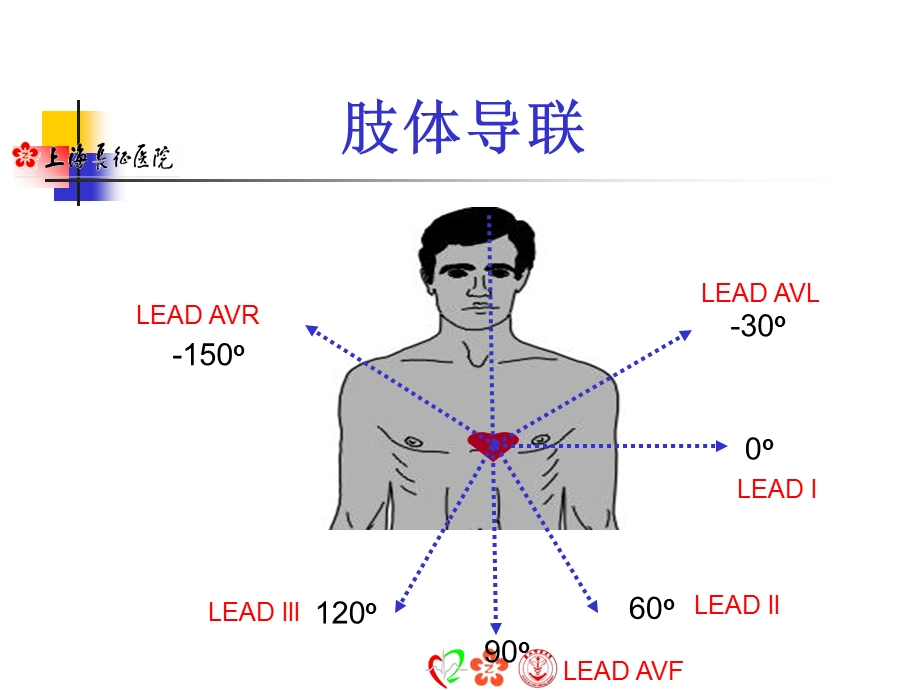 《心电图规培生》PPT课件.ppt_第2页