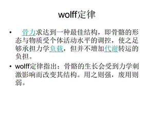 《wolff定律》PPT课件.ppt