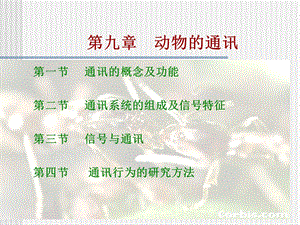 《动物的通讯》PPT课件.ppt