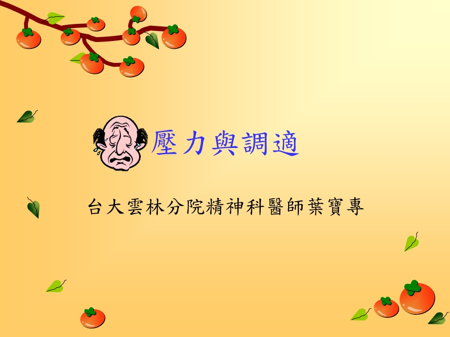 《压力与调适》PPT课件.ppt_第1页