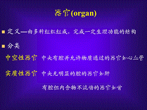 《循环系统本科》PPT课件.ppt