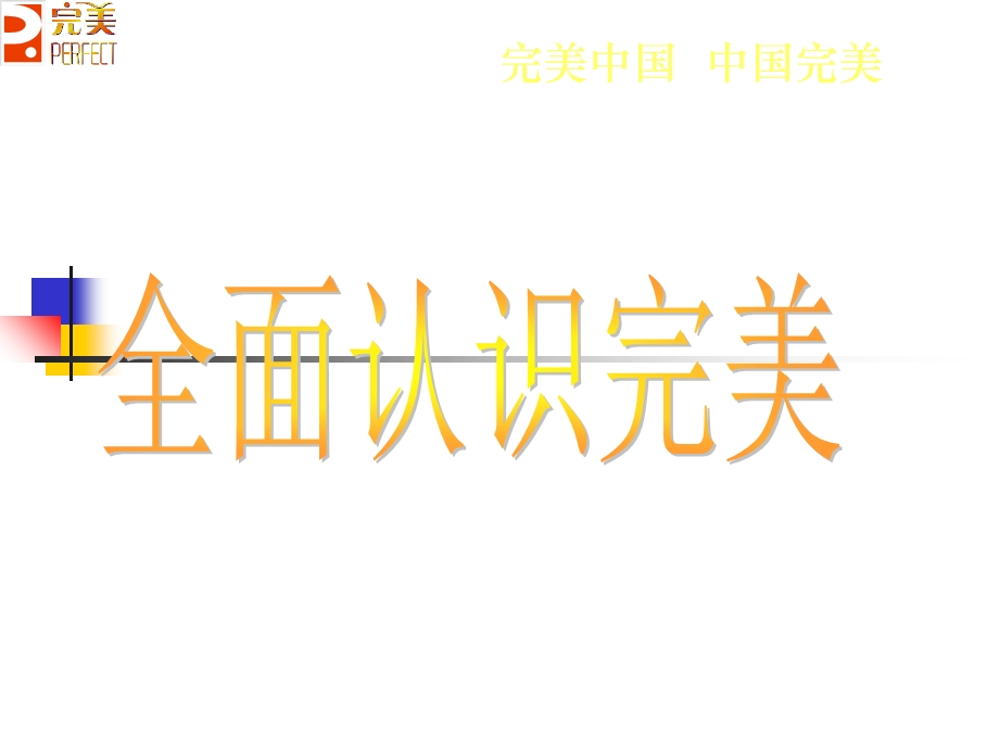 《完美公司简介》PPT课件.ppt_第1页