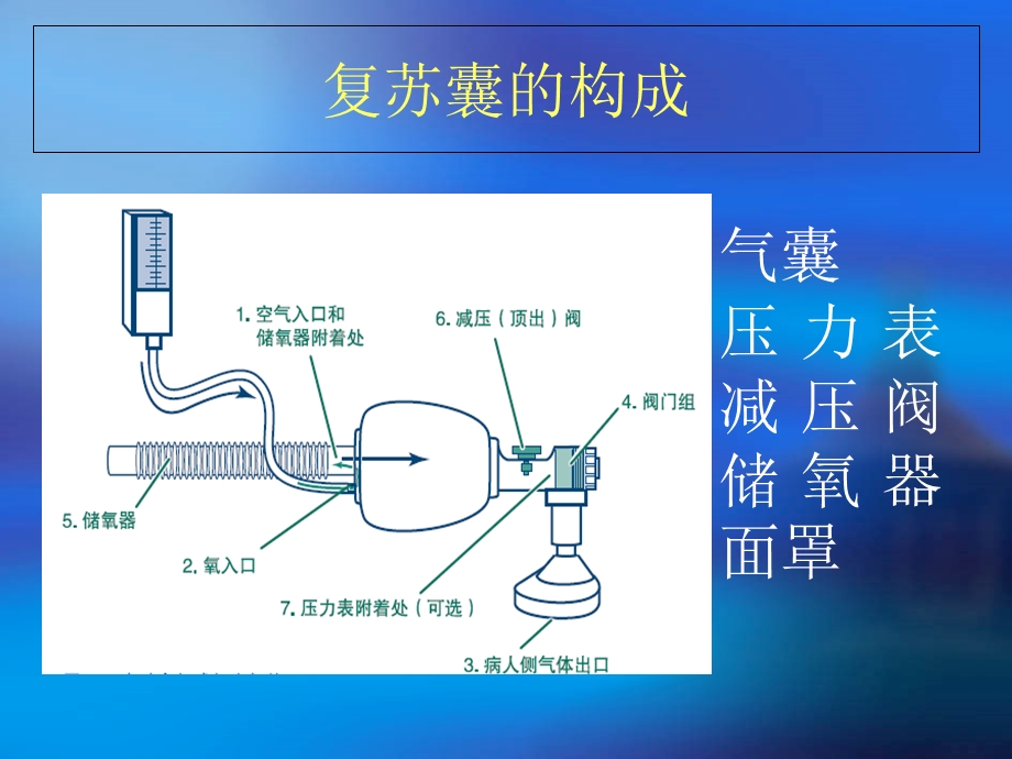 《复苏囊的使用》PPT课件.ppt_第2页