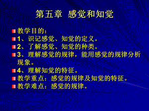 《感觉知觉》PPT课件.ppt