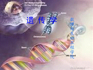 《孟德尔式遗传分析》PPT课件.ppt