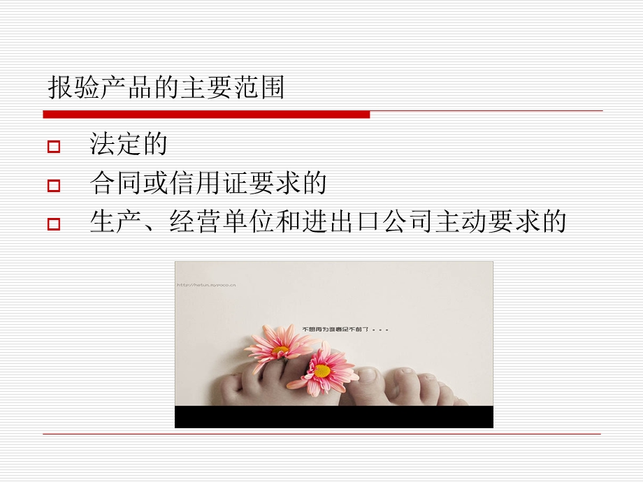 《出口货物报验》PPT课件.ppt_第3页