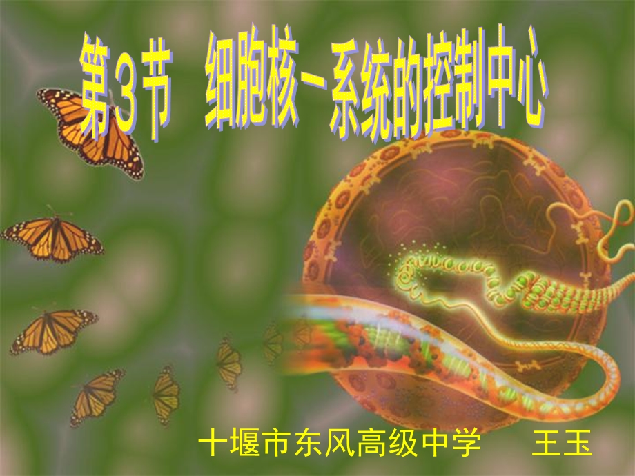 十堰市东风高级中学——王玉——细胞核.ppt_第1页