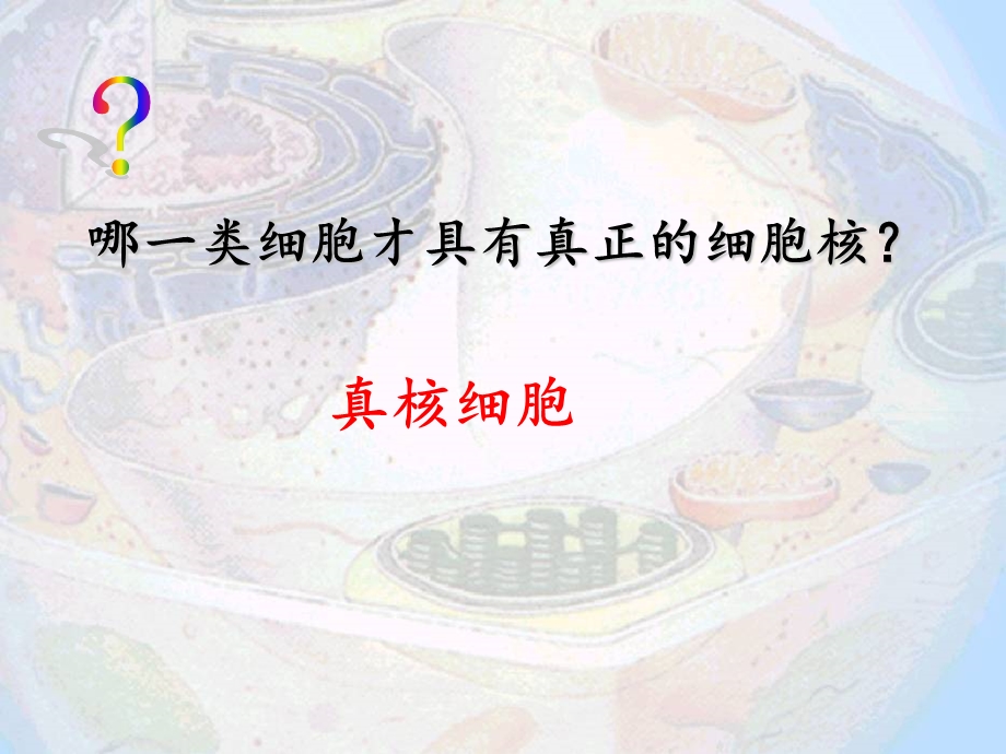 十堰市东风高级中学——王玉——细胞核.ppt_第2页