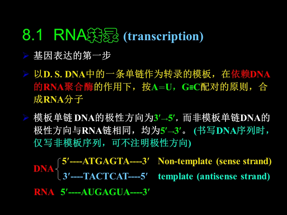 《基因表达与调控》PPT课件.ppt_第3页