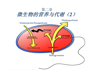 《微生物营养和代谢》PPT课件.ppt