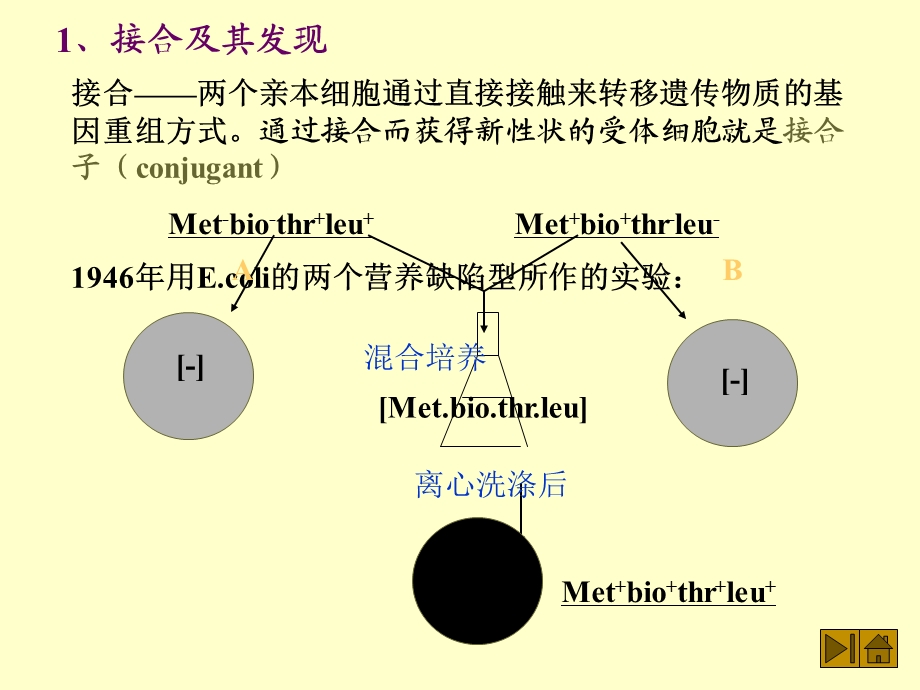 《复旦普通微生物学》PPT课件.ppt_第2页