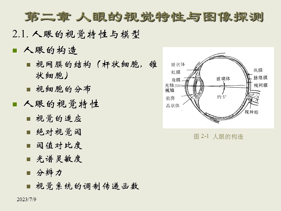 《人眼视觉原理》PPT课件.ppt_第2页