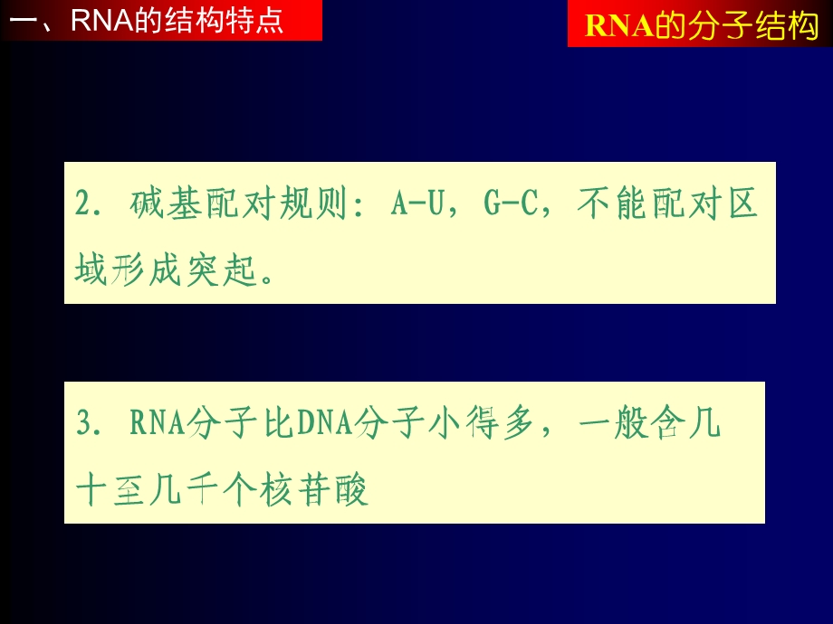 《RNA的分子结构》PPT课件.ppt_第3页