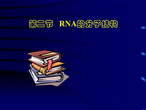 《RNA的分子结构》PPT课件.ppt