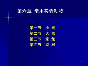 《小鼠种类及特性》PPT课件.ppt