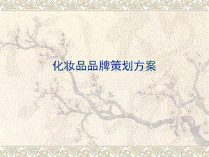 《化妆品策划方案》PPT课件.ppt