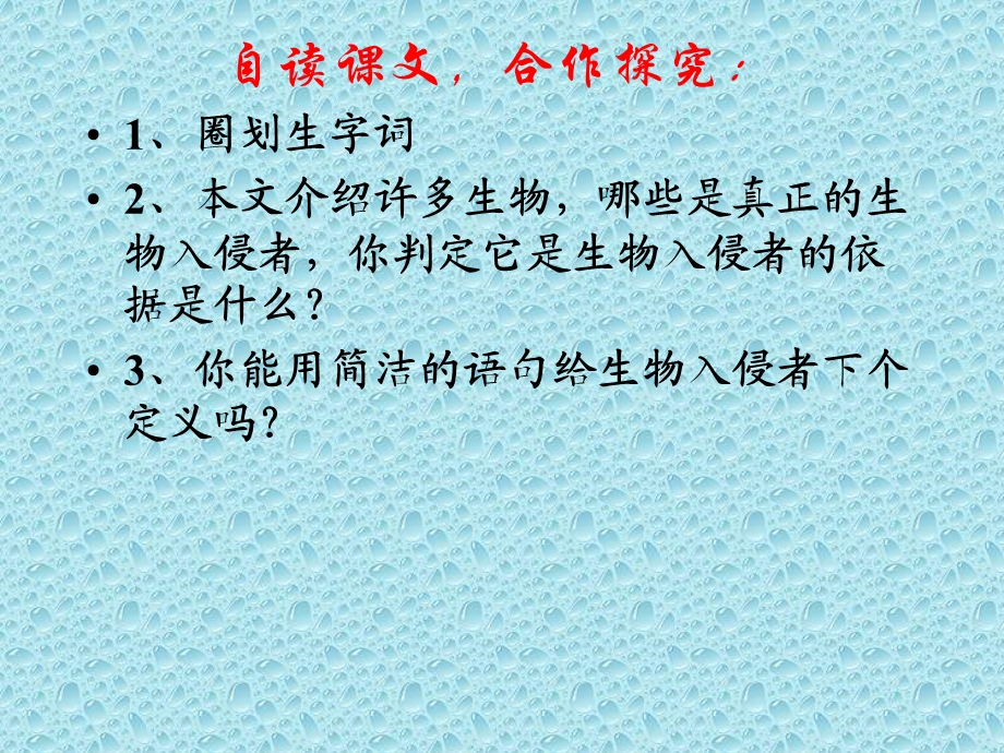 凶残的松树杀手.ppt_第3页