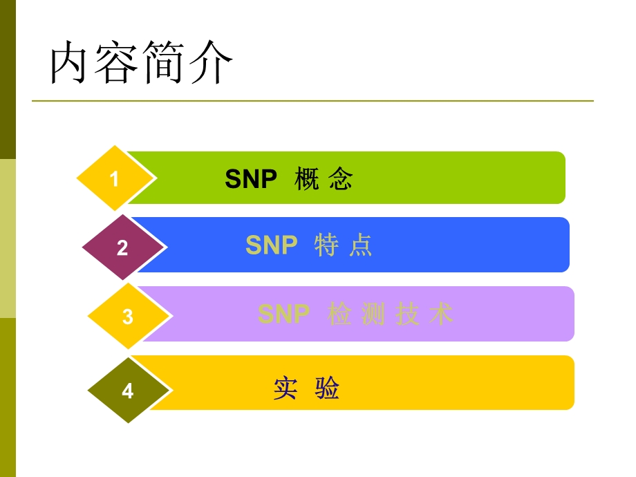 《SNP检测技术》PPT课件.ppt_第2页