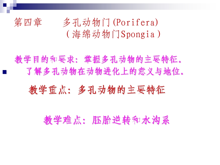 《多孔动物》PPT课件.ppt_第1页