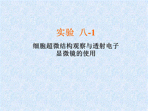 实验八、透射电子显微镜及扫描电子显微镜的使用.ppt