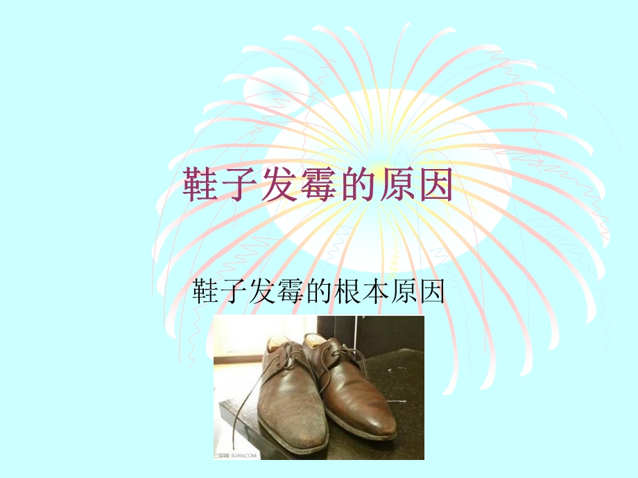 鞋子发霉的原因解析.ppt_第1页