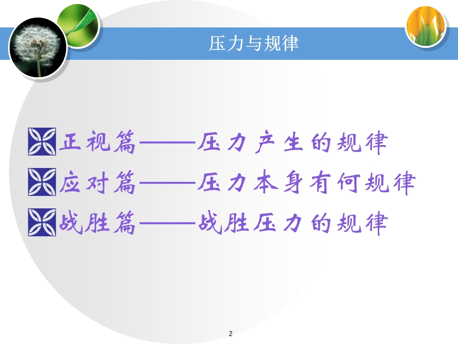 《压力与规律》PPT课件.ppt_第2页