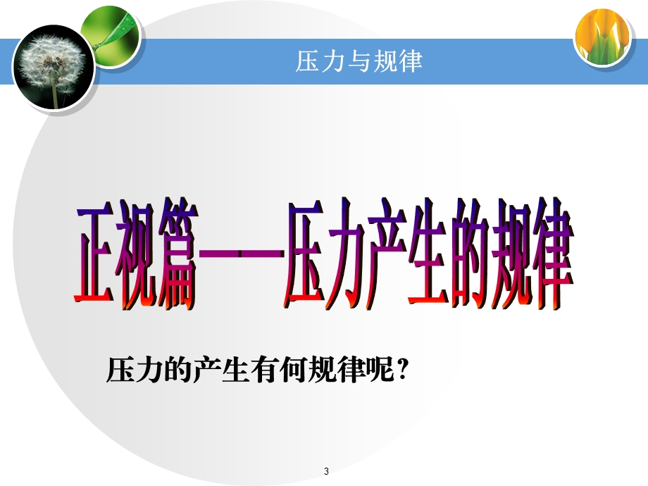 《压力与规律》PPT课件.ppt_第3页