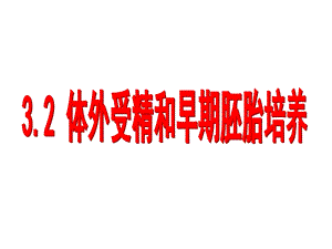 《体外受精》PPT课件.ppt