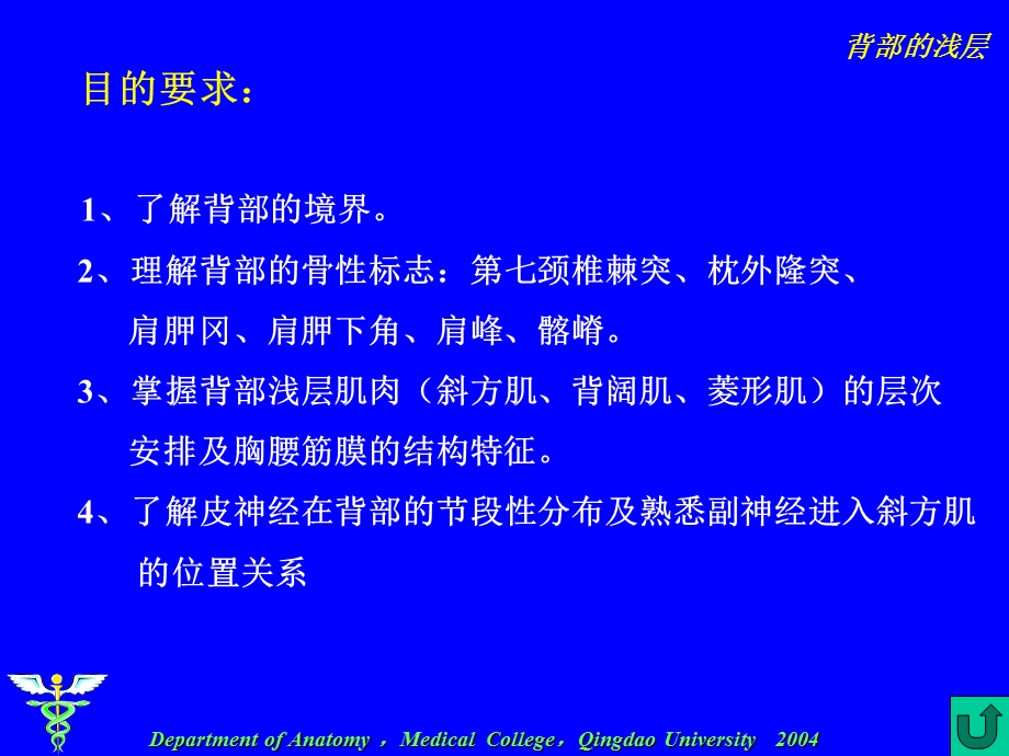 《单元背部浅层》PPT课件.ppt_第2页