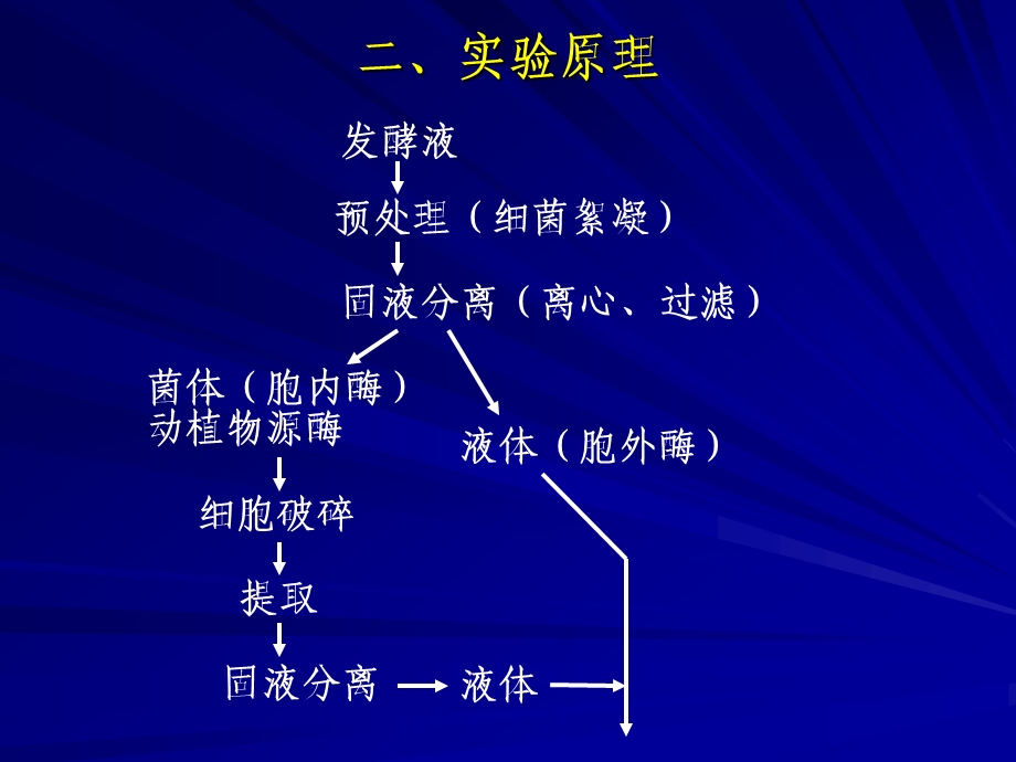 实验二α淀粉酶的初步纯化.ppt_第3页