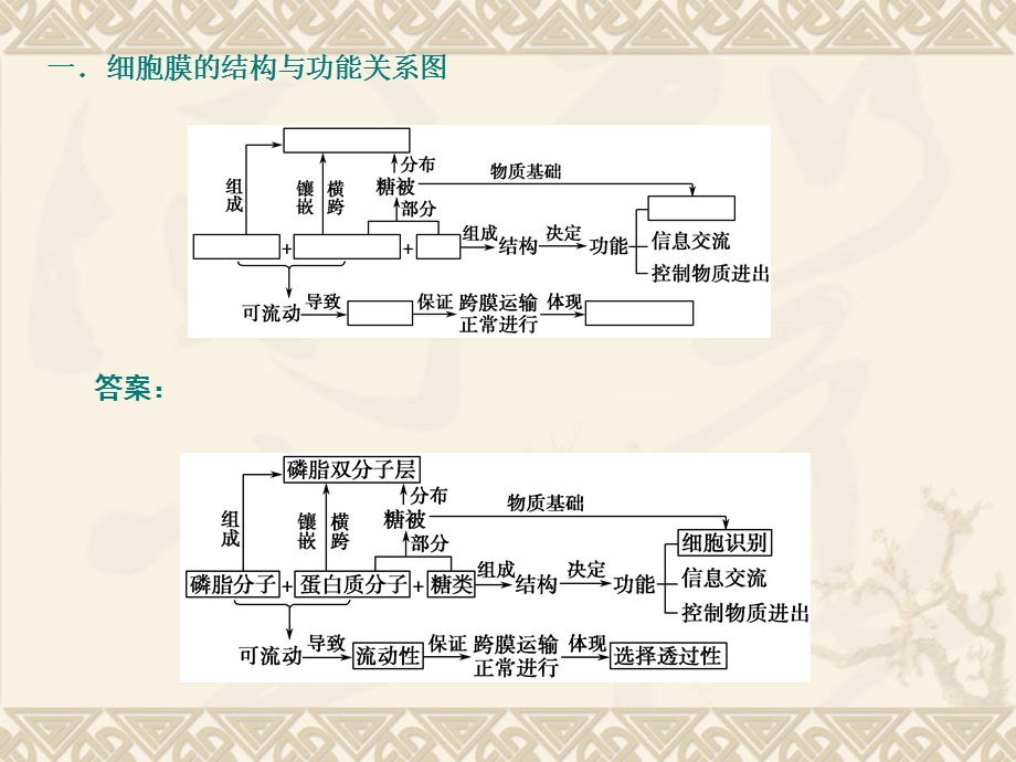 专题一细胞的分子组成与结构.ppt_第2页