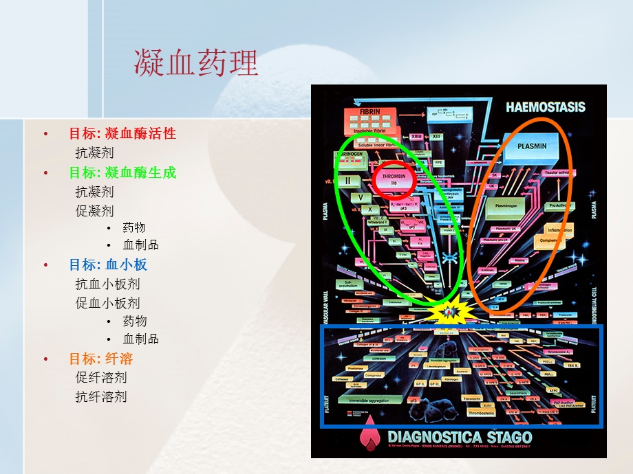 《凝血药物知识》PPT课件.ppt_第2页