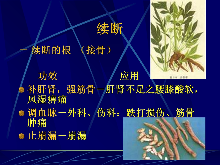 《中药补阳药》PPT课件.ppt_第3页