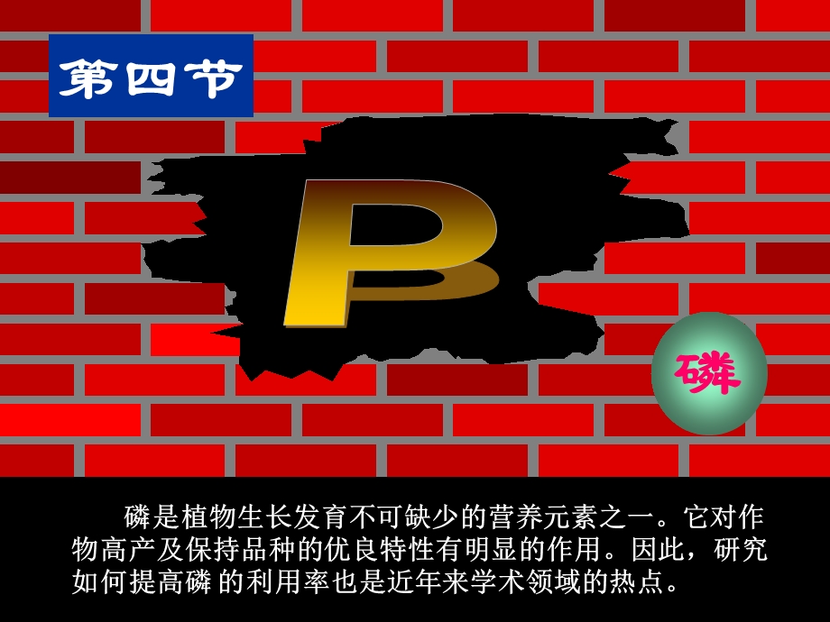 《功能植物营养》PPT课件.ppt_第2页