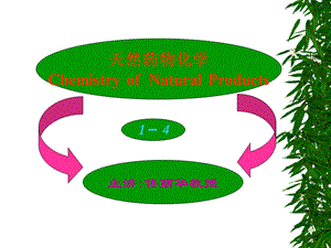 《天然药物化学》PPT课件.ppt