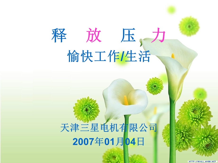 《压力释放教育》PPT课件.ppt_第1页