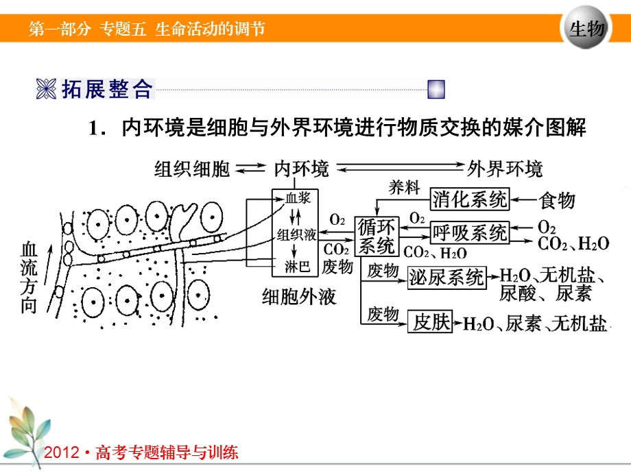 专题五第二讲生命活动调节人体稳态和免疫.ppt_第3页