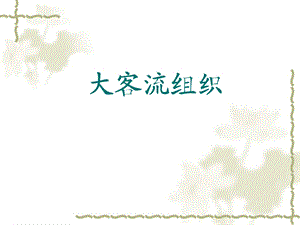 《大客流组织》PPT课件.ppt