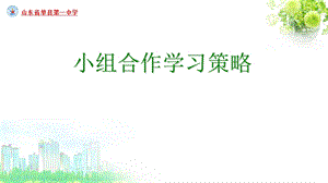 《小组合作学习策略》PPT课件.ppt