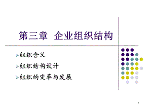 《企业组织结构》PPT课件.ppt